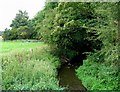 River Devon downstream