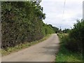 Woodwell Head Lane towards Hall Farm