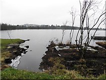 H5775 : Loughmacrory Lough by Kenneth  Allen
