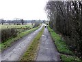 Shannaragh Road, Curly