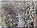 The Carcullion River immediately above Trainors Bridge