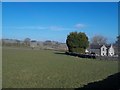 Grassland Bordering Flagg Village