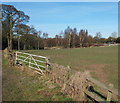 Portland Park Nature Reserve NG17, Notts.