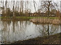 The pond on Harefield Green