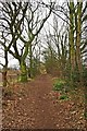 Public footpath to Stanklyn Lane, near Spennells, Kidderminster