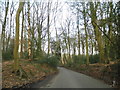 West Hyde Lane going through Bloom Wood