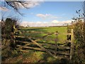 Gate, Golf Links Road