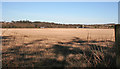 Stubble near Keilhill