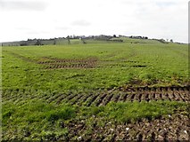 H5560 : Tracks in a field, Garvaghy by Kenneth  Allen