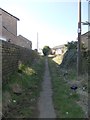 Dog Kennel Lane - Bank Top