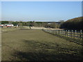 Grazing off Stockport Road