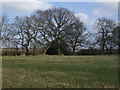 Farmland, New Lane End