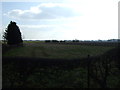 Farmland near Golborne