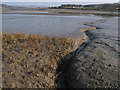 Mud flat with creek