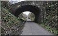 Torridge : The Tarka Trail - Bridge