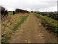 Cross Lane heading away from Moor Lane