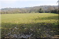 Farmland at Brookthorpe