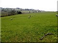 Altdrumman Townland