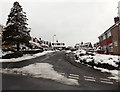 A wintry view of The Spinney, Malpas, Newport