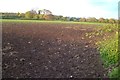 Arable field near Mistletoe Farm