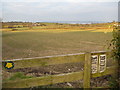 Pasture land between Whitford and Holywell