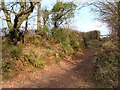 Bridleway near Beggar