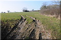 Field near Grove End, Hardwicke