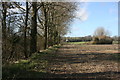 Greensand Way along field edge