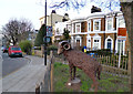 A Sheep in Camberwell