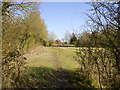 Footpath from Sissinghurst passing Castlefields in Digdog Lane