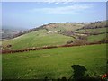 Fields north west of lane from Lower Ashton to Doddiscombsleigh