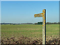 Field with footpath