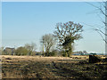 Field yet to be ploughed