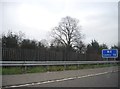 Fence by the M4