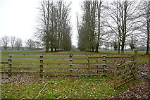 SP3921 : Footpath through Ditchley Park by Graham Horn