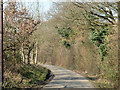 Church Lane, Little Leighs