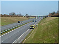 Collecting litter on the A131