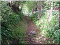 Footpath near Sticksend