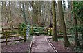 Right-hand turn in boardwalk in Spennells Valley Nature Reserve, Spennells, Kidderminster