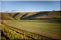 SU0964 : Sheep pens and farmland under Tan Hill by Gillie Rhodes