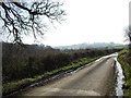 Minor road from Higher Ashton to Trusham