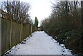 Snowy path , Fox Burrow Wood