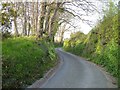 Church Lane, Whitestone