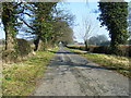 Towers Lane looking east