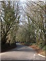 Golden Lane north of Southcott Cross