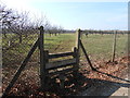 Stile, Footpath Through Orchards, near Coxheath