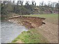 NT8743 : River Tweed Erosion by frank smith
