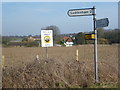 Looking towards Stone Farm