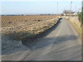 The lane to Luddenham