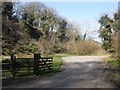 Access road, Beere Wood